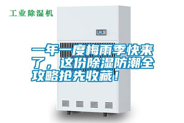 一年一度梅雨季快來了，這份除濕防潮全攻略搶先收藏！