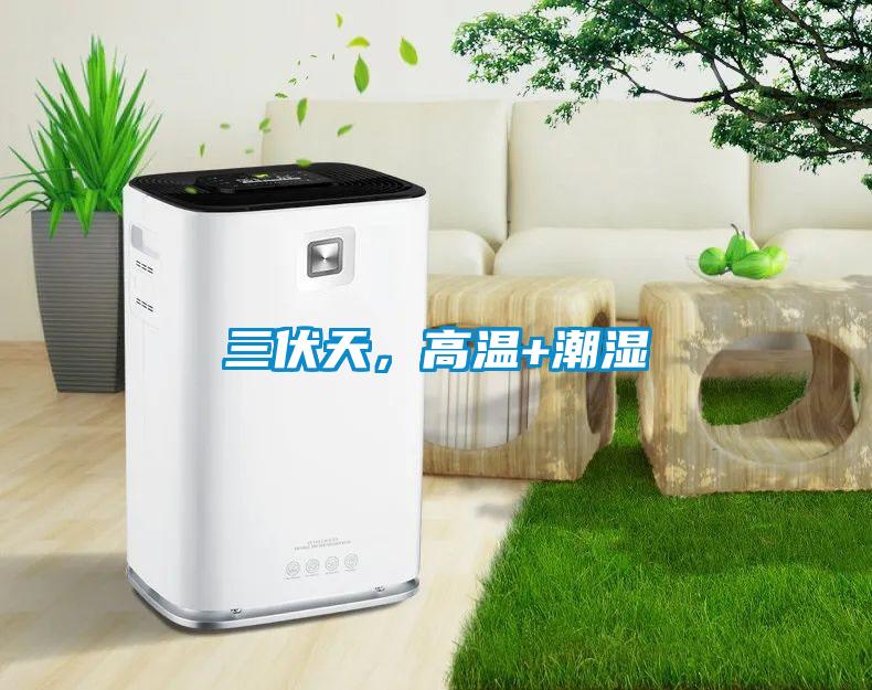 三伏天，高溫+潮濕
