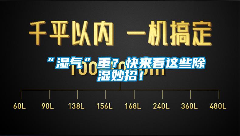 “濕氣”重？快來看這些除濕妙招！