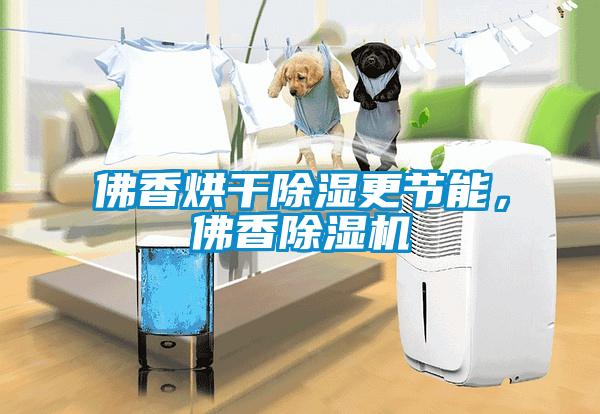 佛香烘干除濕更節(jié)能，佛香除濕機(jī)