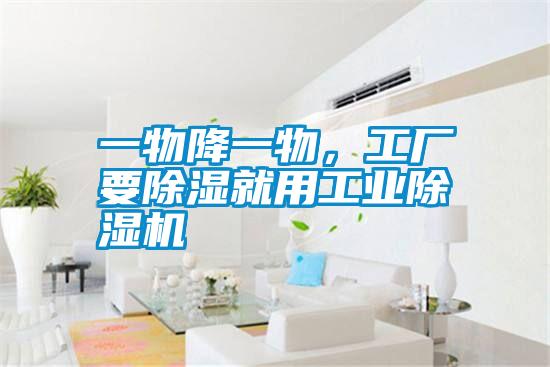 一物降一物，工廠要除濕就用工業(yè)除濕機