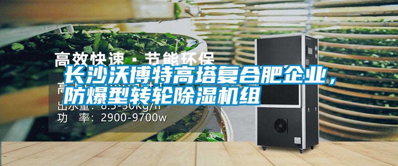 長(zhǎng)沙沃博特高塔復(fù)合肥企業(yè)，防爆型轉(zhuǎn)輪除濕機(jī)組