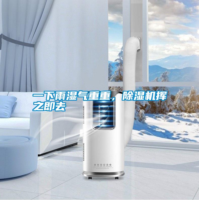 一下雨濕氣重重，除濕機(jī)揮之即去