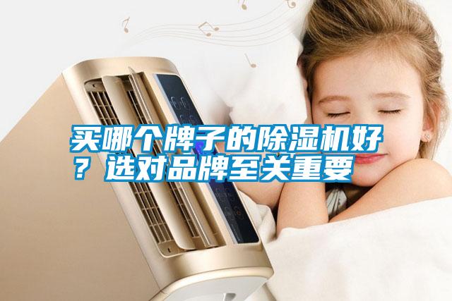 買哪個(gè)牌子的除濕機(jī)好？選對(duì)品牌至關(guān)重要