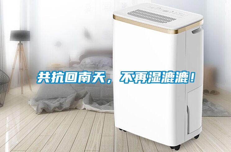 共抗回南天，不再濕漉漉！