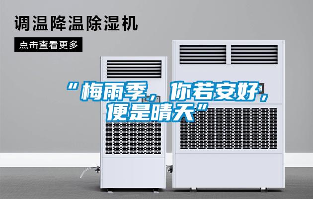 “梅雨季，你若安好，便是晴天”