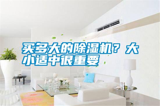 買多大的除濕機(jī)？大小適中很重要