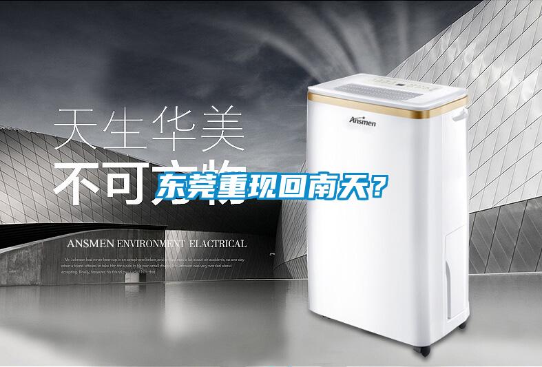 東莞重現(xiàn)回南天？