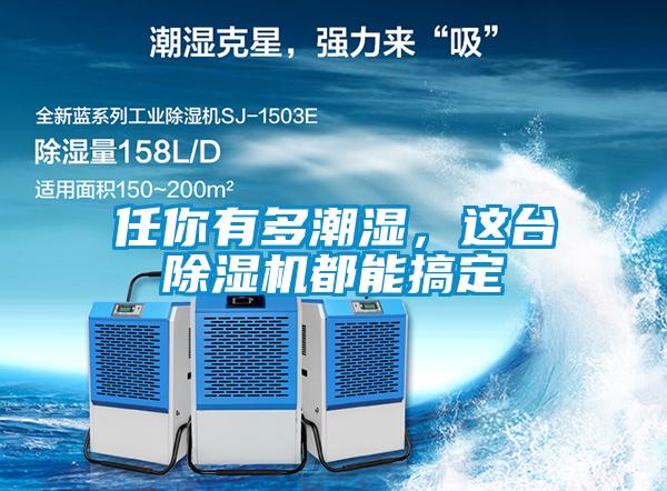 任你有多潮濕，這臺除濕機都能搞定