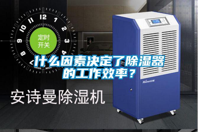 什么因素決定了除濕器的工作效率？