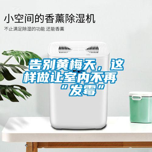 告別黃梅天，這樣做讓室內(nèi)不再“發(fā)霉”
