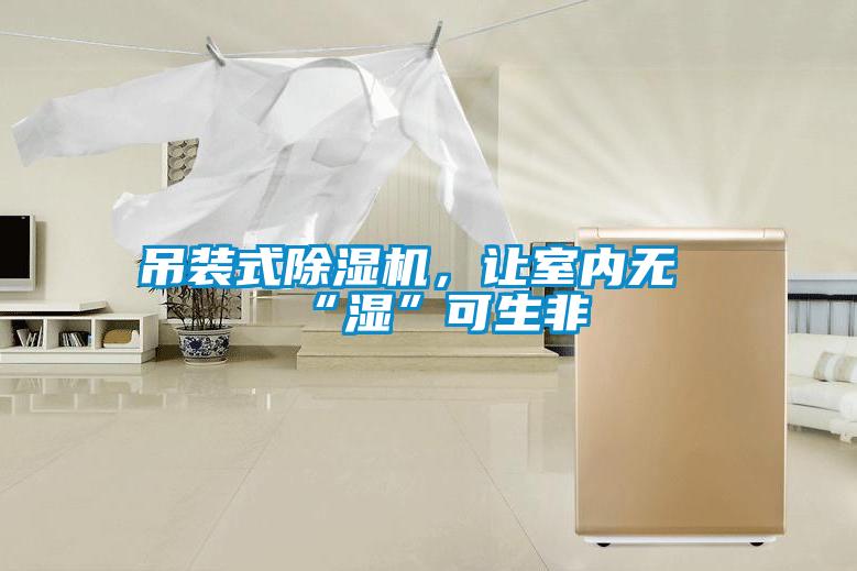 吊裝式除濕機，讓室內(nèi)無“濕”可生非