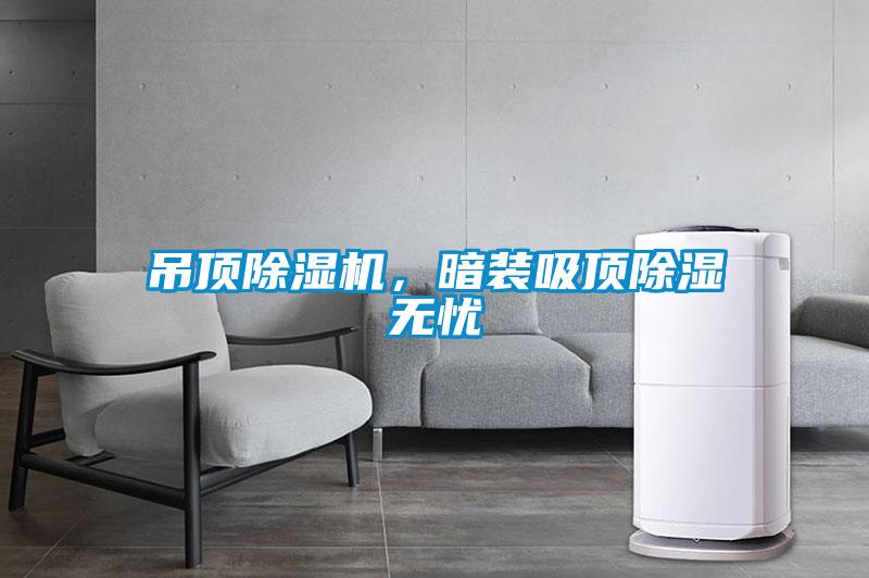 吊頂除濕機，暗裝吸頂除濕無憂