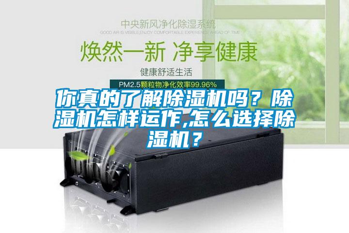 你真的了解除濕機(jī)嗎？除濕機(jī)怎樣運(yùn)作,怎么選擇除濕機(jī)？