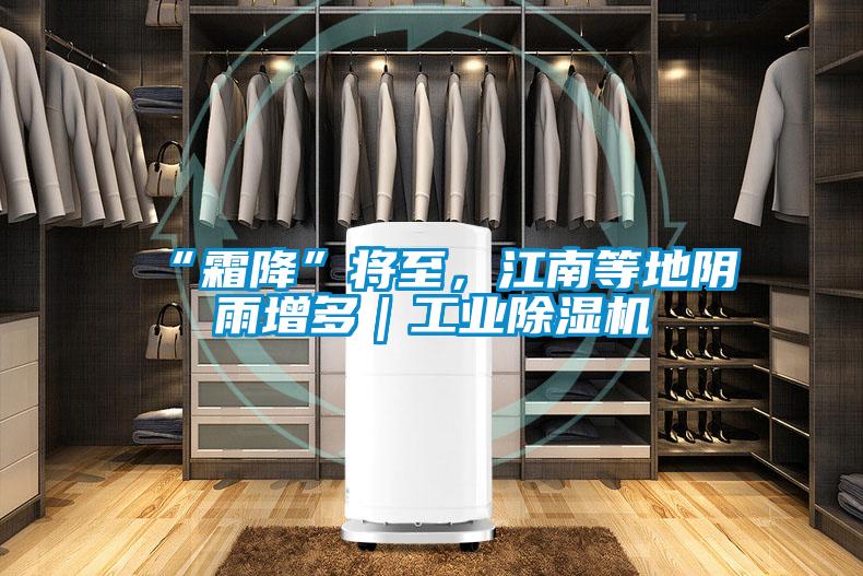 “霜降”將至，江南等地陰雨增多｜工業(yè)除濕機