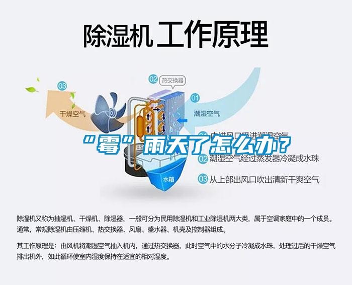 “霉”雨天了怎么辦？