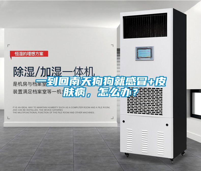 一到回南天狗狗就感冒+皮膚病，怎么辦？