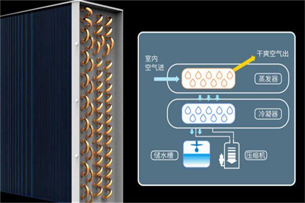別墅為什么必須要考慮新風(fēng)除濕？