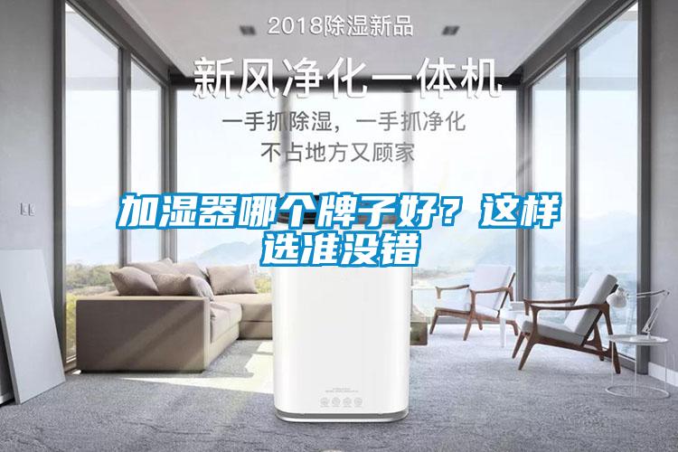 加濕器哪個牌子好？這樣選準(zhǔn)沒錯