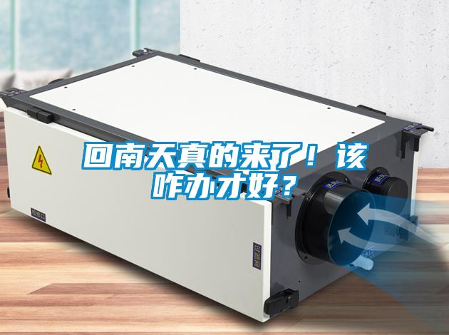 回南天真的來了！該咋辦才好？