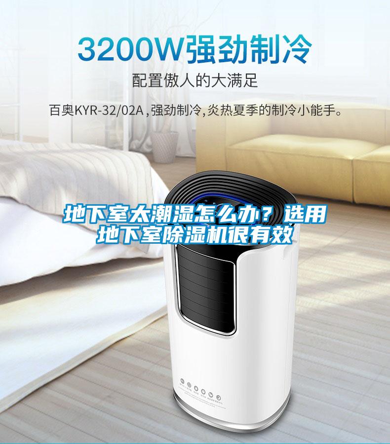 地下室太潮濕怎么辦？選用地下室除濕機(jī)很有效