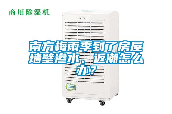 南方梅雨季到了房屋墻壁滲水、返潮怎么辦？