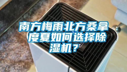 南方梅雨北方桑拿 度夏如何選擇除濕機(jī)？