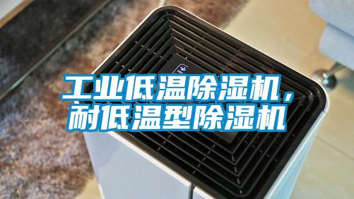 工業(yè)低溫除濕機，耐低溫型除濕機