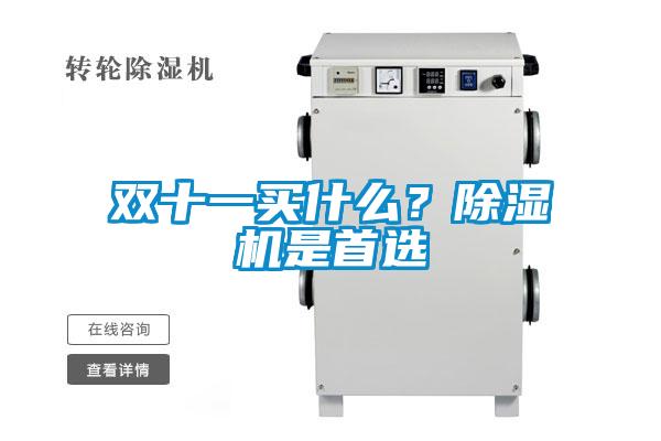 雙十一買什么？除濕機(jī)是首選