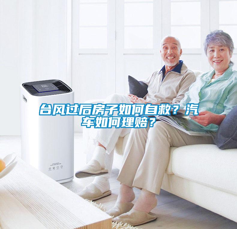 臺風過后房子如何自救？汽車如何理賠？