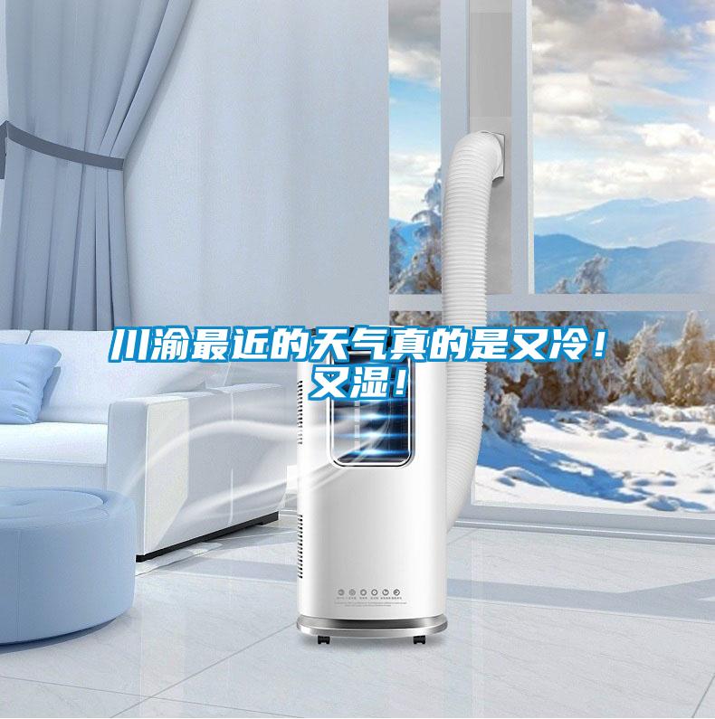 川渝最近的天氣真的是又冷！又濕！