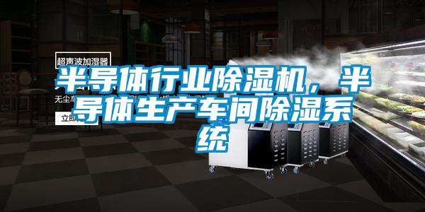 半導(dǎo)體行業(yè)除濕機(jī)，半導(dǎo)體生產(chǎn)車間除濕系統(tǒng)