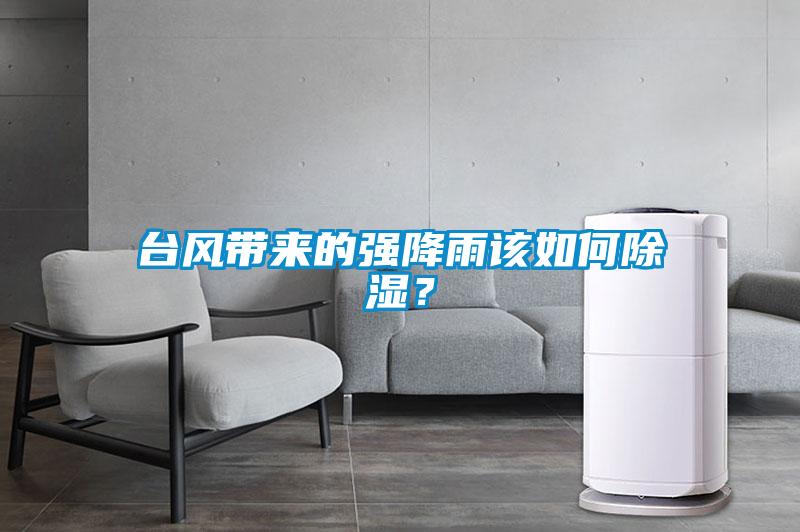 臺風帶來的強降雨該如何除濕？