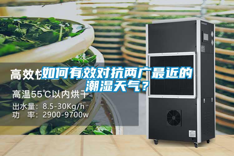 如何有效對抗兩廣最近的潮濕天氣？