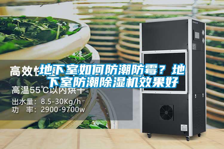 地下室如何防潮防霉？地下室防潮除濕機(jī)效果好