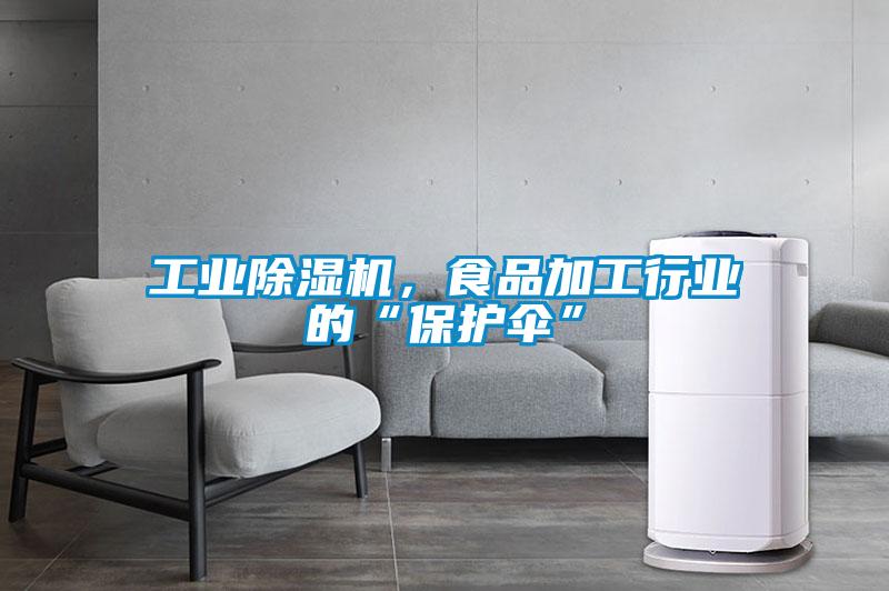 工業(yè)除濕機(jī)，食品加工行業(yè)的“保護(hù)傘”