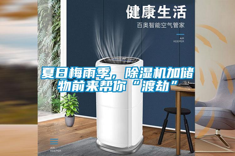 夏日梅雨季，除濕機加儲物前來幫你“渡劫”