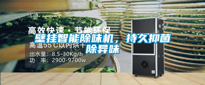 壁掛智能除味機(jī)，持久抑菌除異味