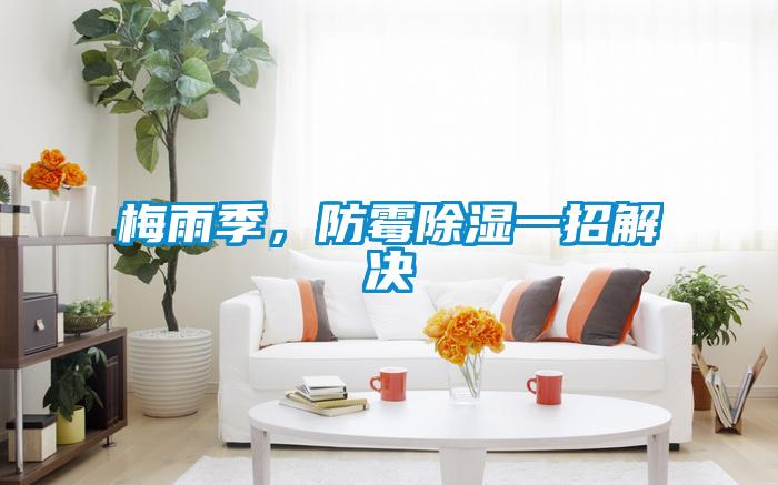 梅雨季，防霉除濕一招解決