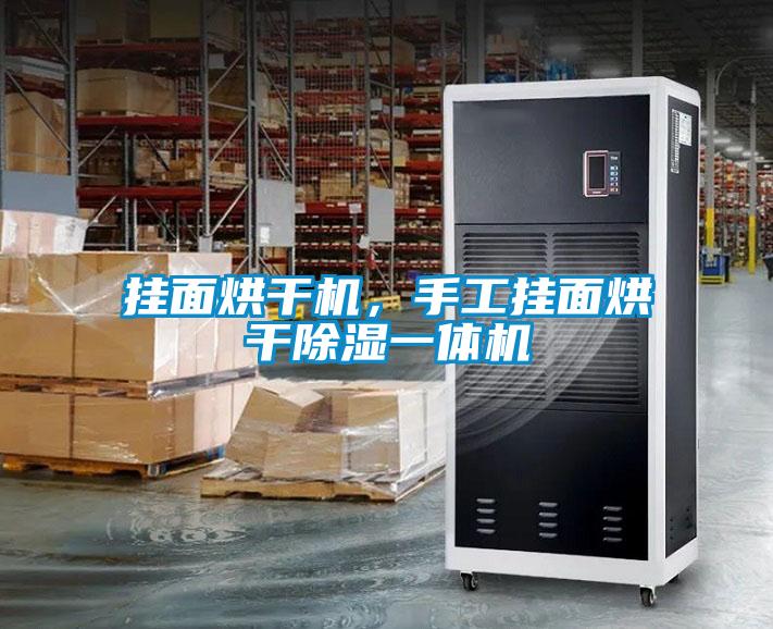 掛面烘干機，手工掛面烘干除濕一體機