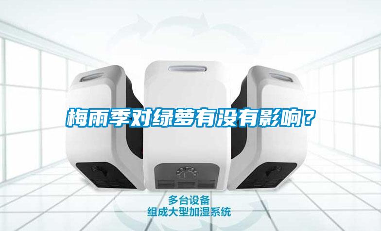 梅雨季對(duì)綠蘿有沒(méi)有影響？