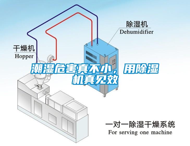 潮濕危害真不小，用除濕機真見效