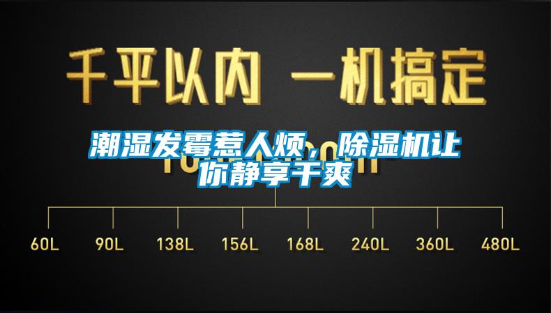 潮濕發(fā)霉惹人煩，除濕機(jī)讓你靜享干爽
