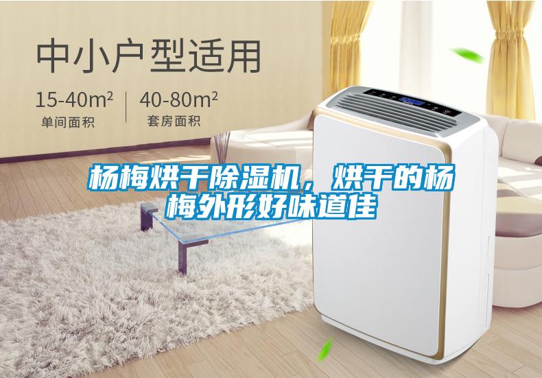 楊梅烘干除濕機，烘干的楊梅外形好味道佳