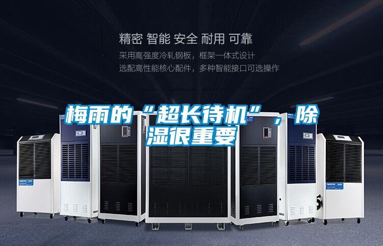 梅雨的“超長待機”，除濕很重要