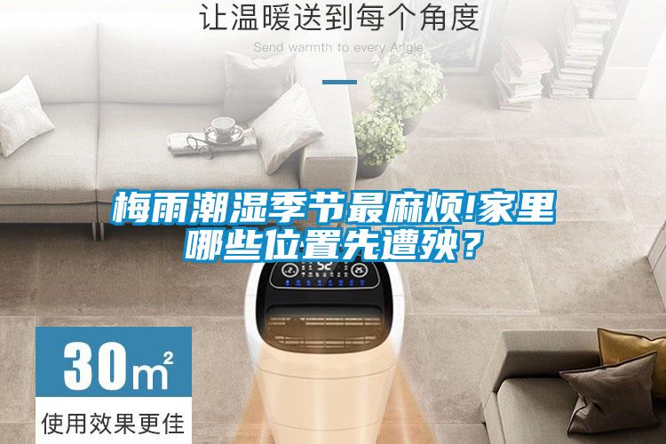 梅雨潮濕季節(jié)最麻煩!家里哪些位置先遭殃？