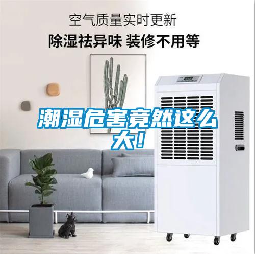 潮濕危害竟然這么大！
