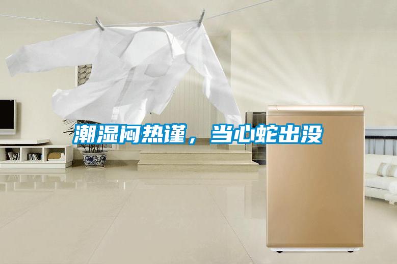 潮濕悶熱謹，當心蛇出沒