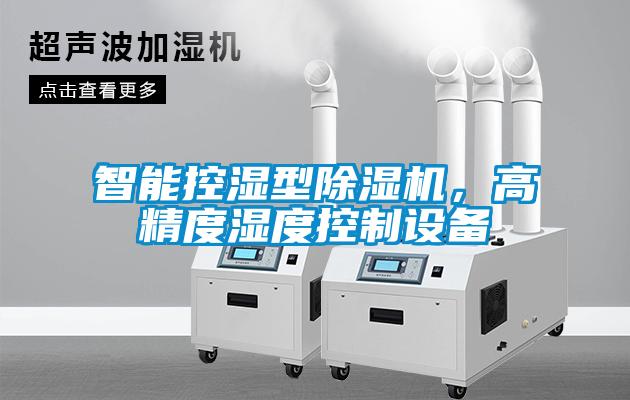 智能控濕型除濕機(jī)，高精度濕度控制設(shè)備