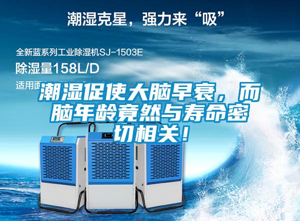 潮濕促使大腦早衰，而腦年齡竟然與壽命密切相關(guān)！